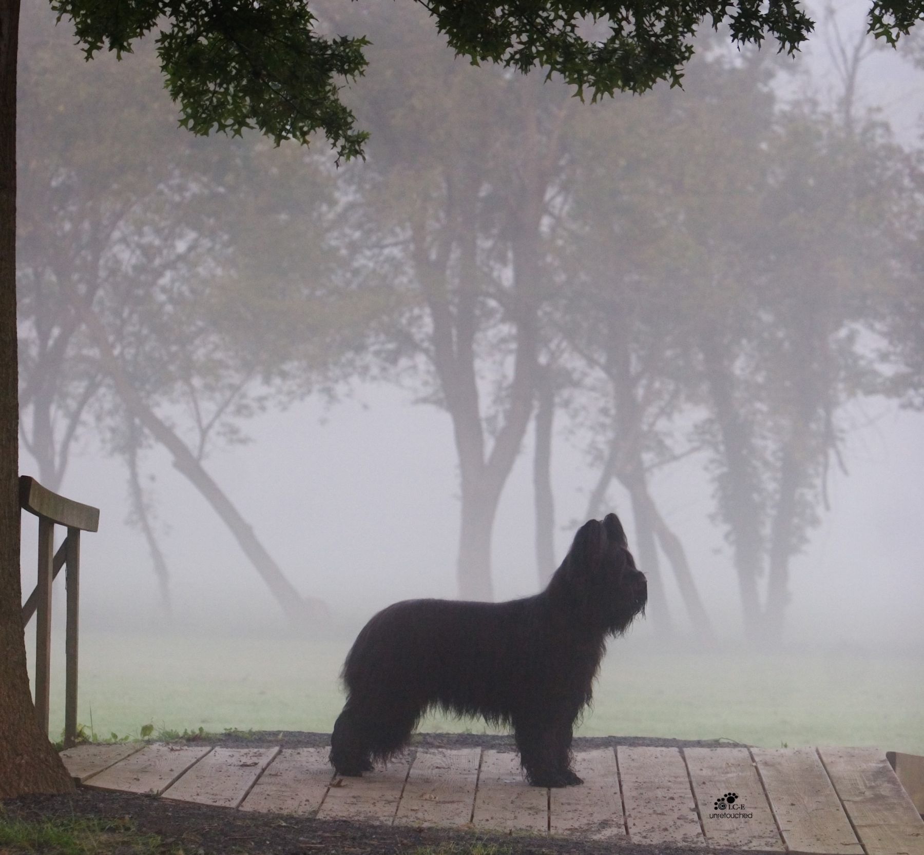 In Depth: An Interview with ...